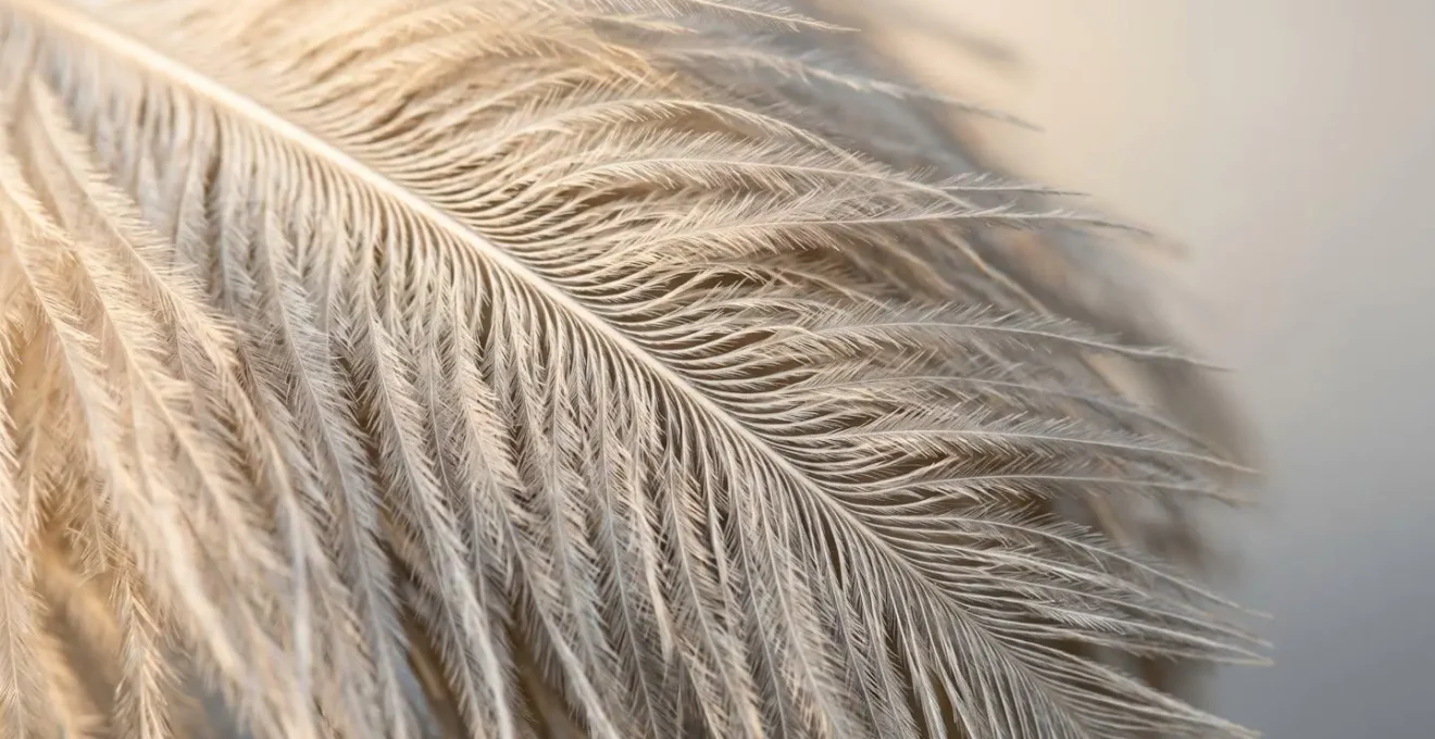 Gros plan sur les plumes d un plumeau revelant les textures et la douceur