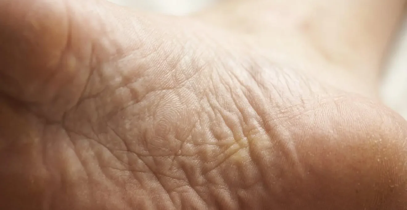 Détails des terminaisons nerveuses et texture de la peau des pieds